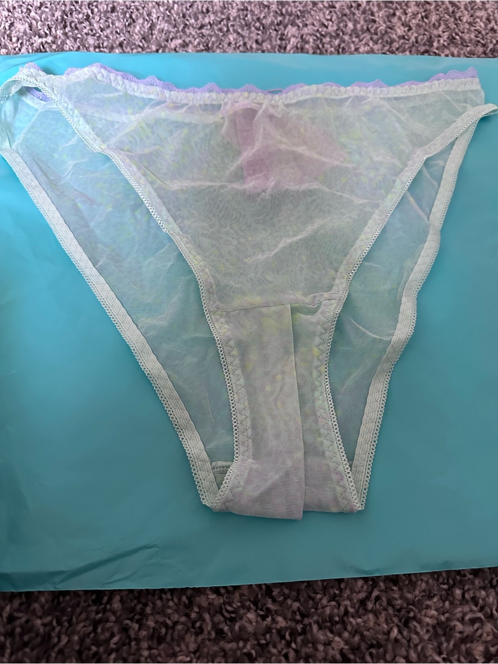 Savage X Fenty Mint Sheer Bikini with Lilac Trim